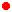 P Rot
